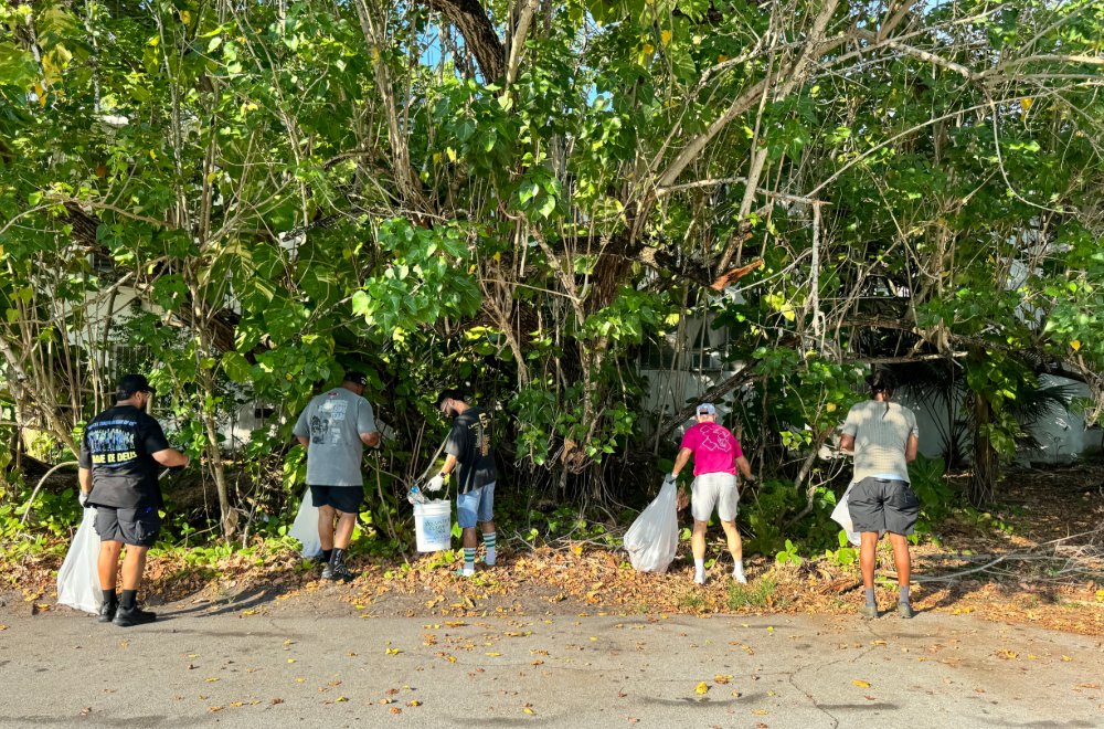 Street Cleanup: Feb 07, 2026 44th St. Sunrise