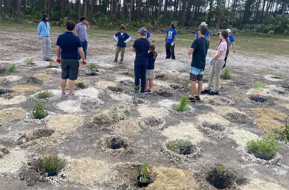 Camp Choee Community Volunteer Day - Tree Planting