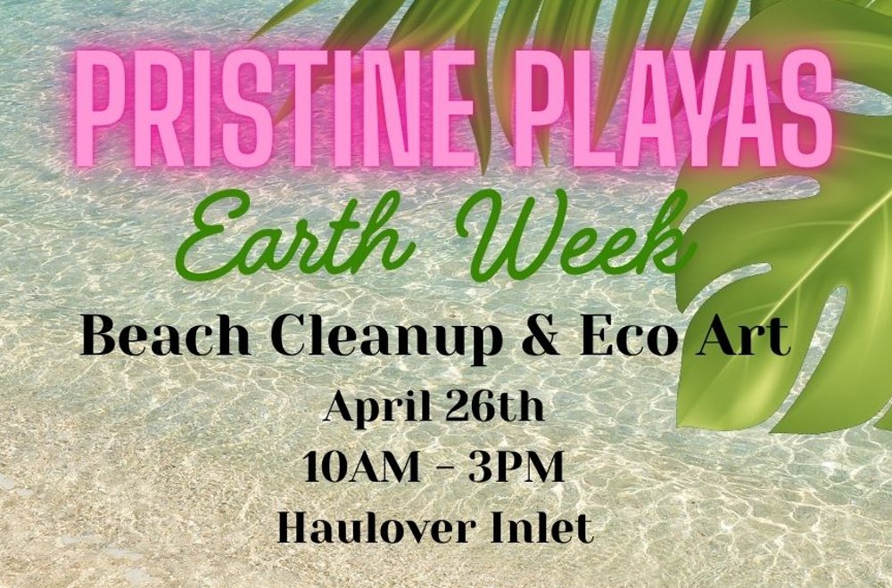 Beach Cleanup & Eco Art