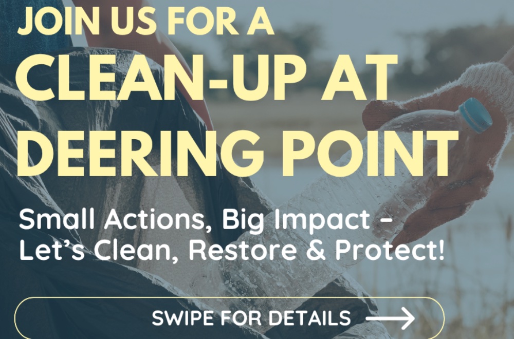 Deering Point Park Cleanup