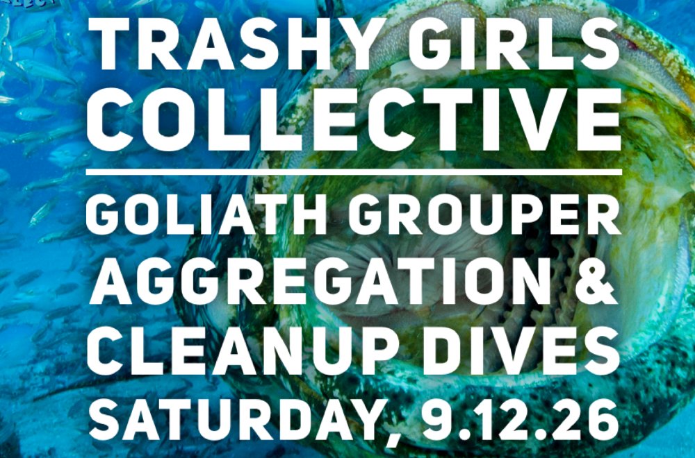8th Annual Trashy Goliath Grouper Aggregation & Cleanup Dives