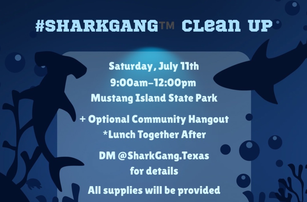 #SharkGang™️ Clean Up