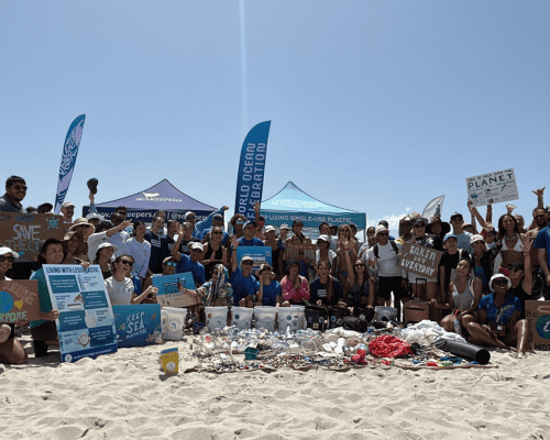 SeaKeepers Margaret Pace Park Cleanup
