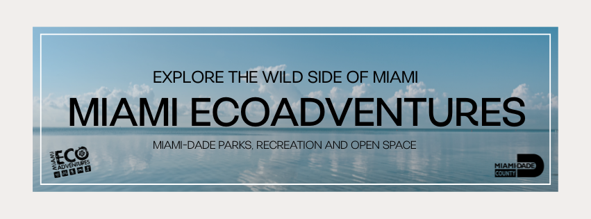 Castellow Hammock EcoAction Day 3rd Sunday