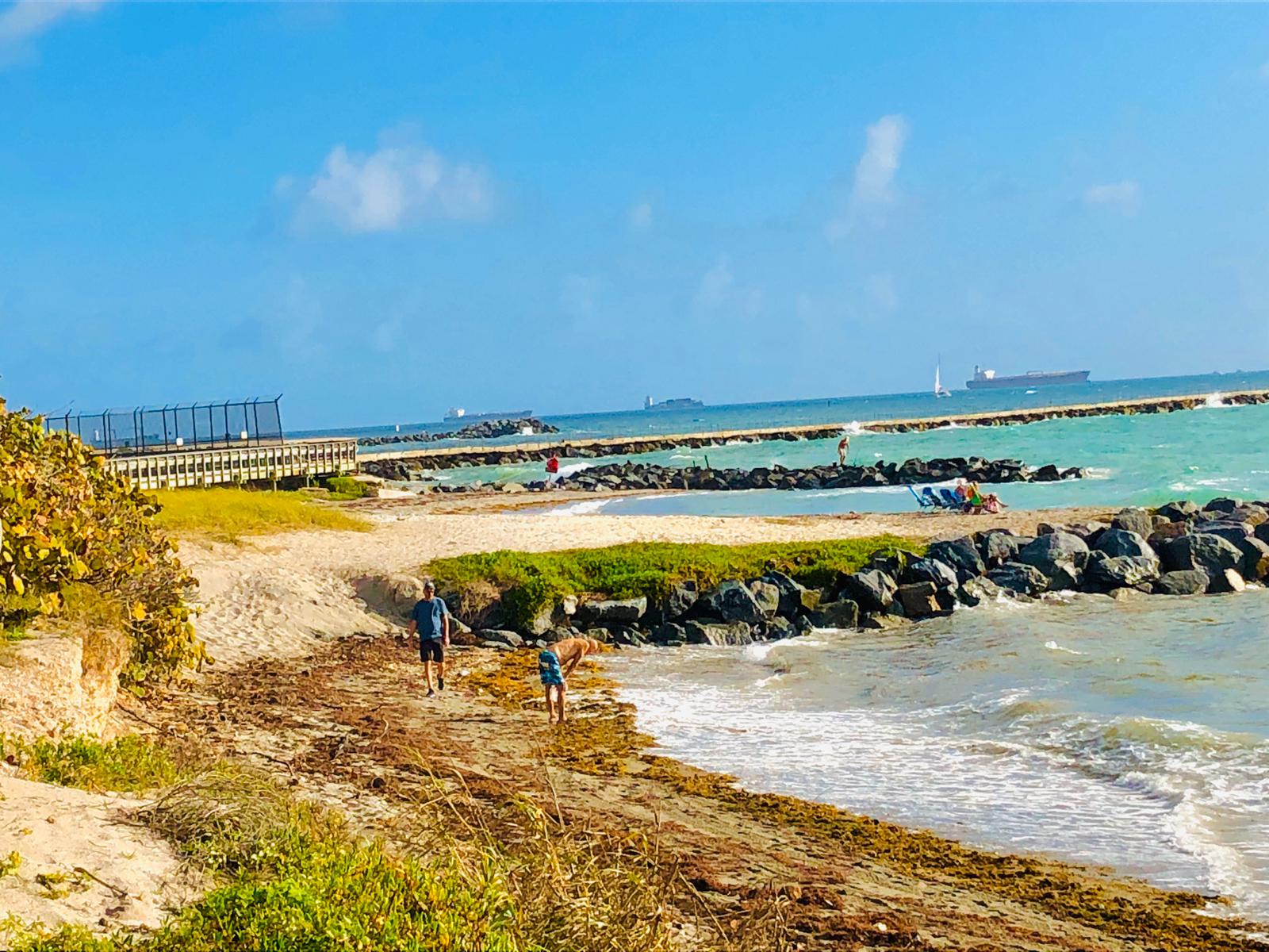 Siemens 2nd Annual Beach Cleanup
