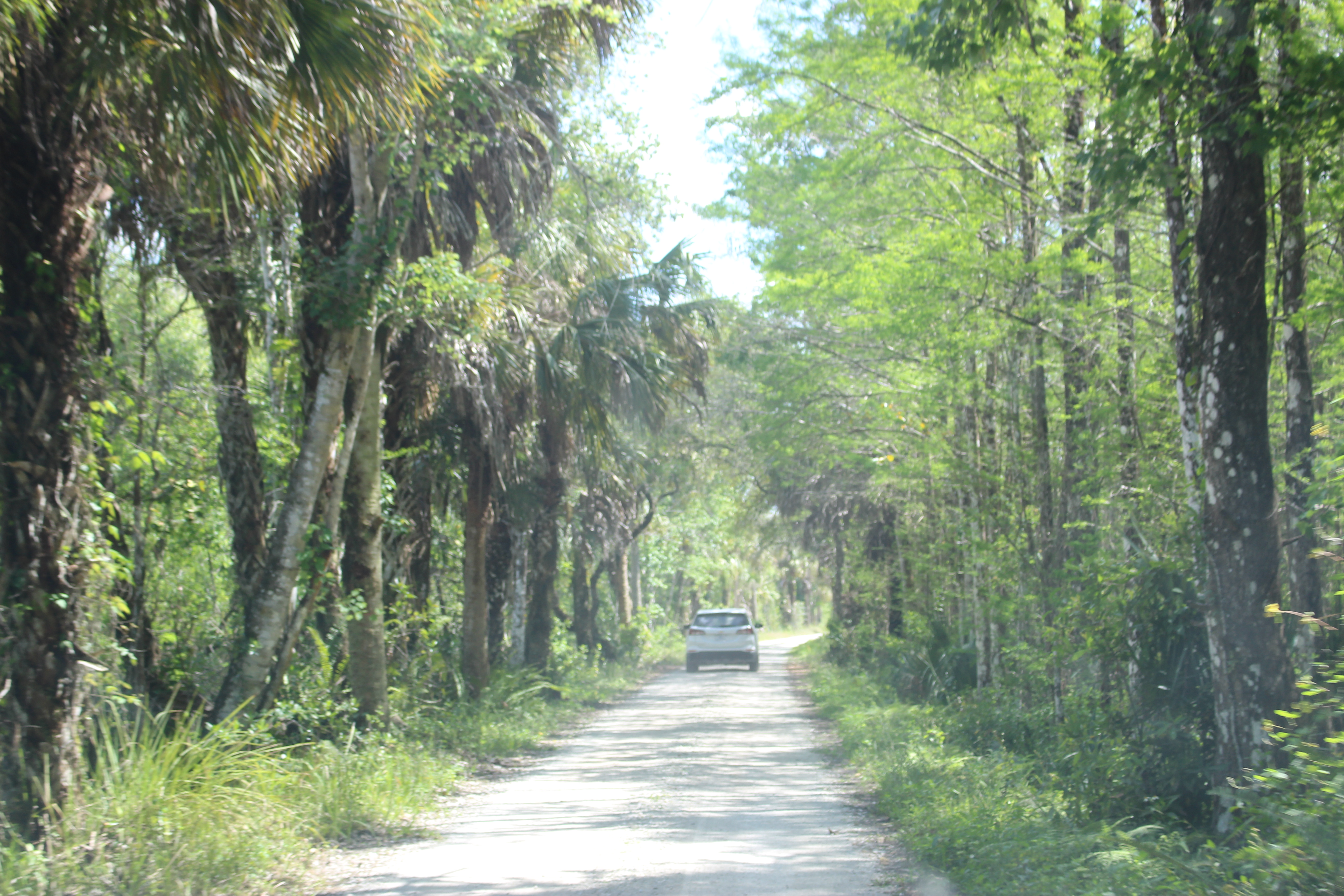 Big Cypress National Preserve Clean-Up