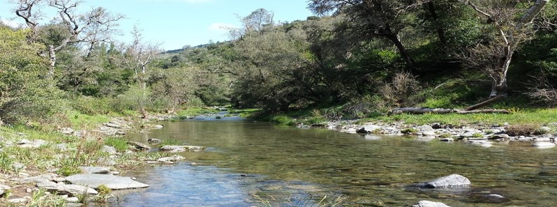 Coyote Creek Volunteer Cleanup Day